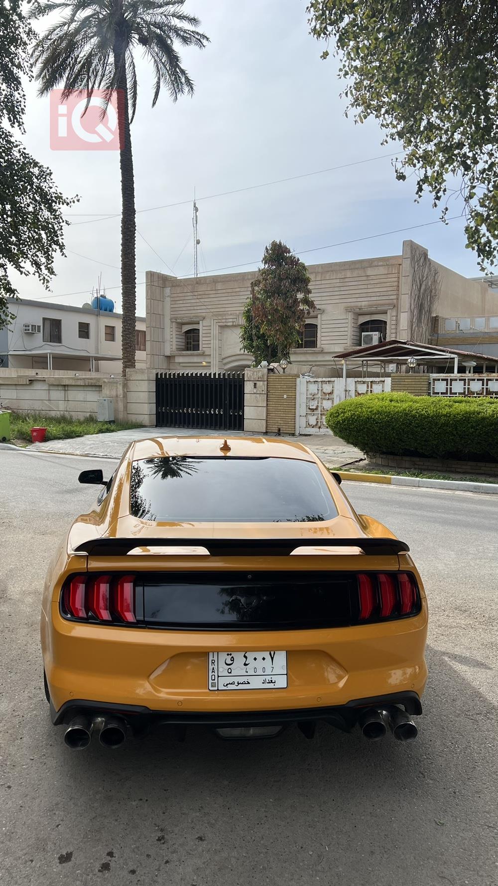 فورد موستانج